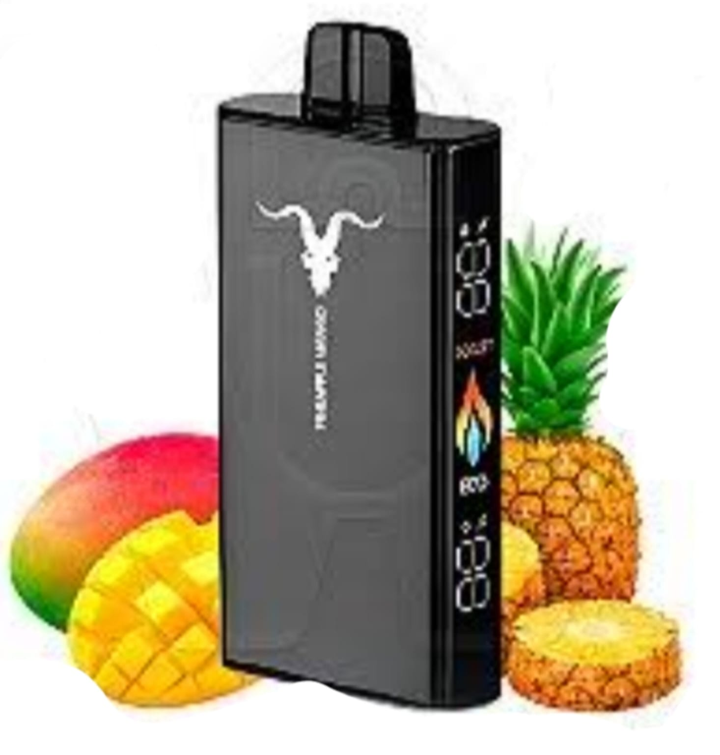 Descartavel Ignite V250 25.000 Puffs